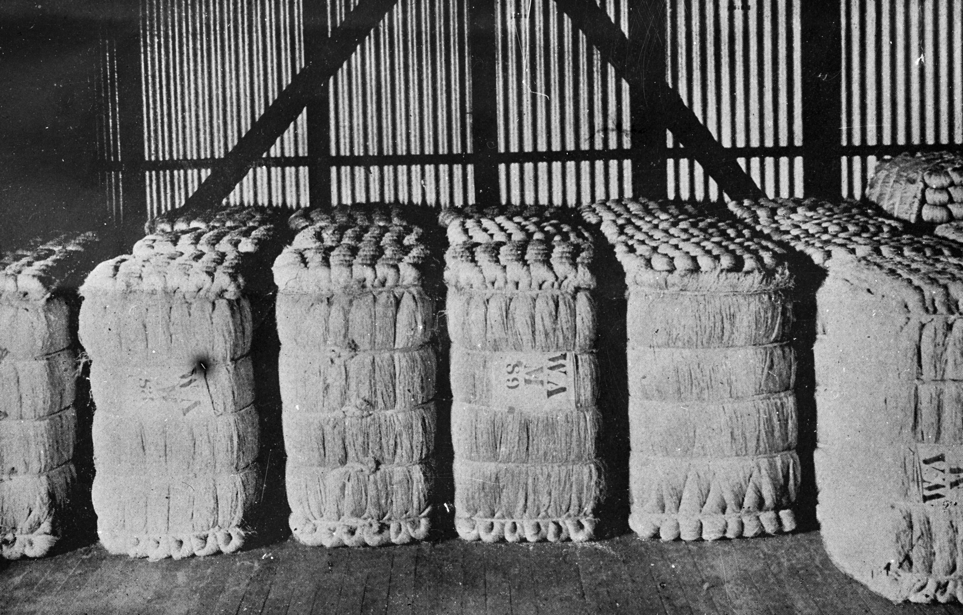 View of bales of flax fibre (often known as New Zealand hemp, or New Zealand flax, but more correctly known as phormium tenax). The negative