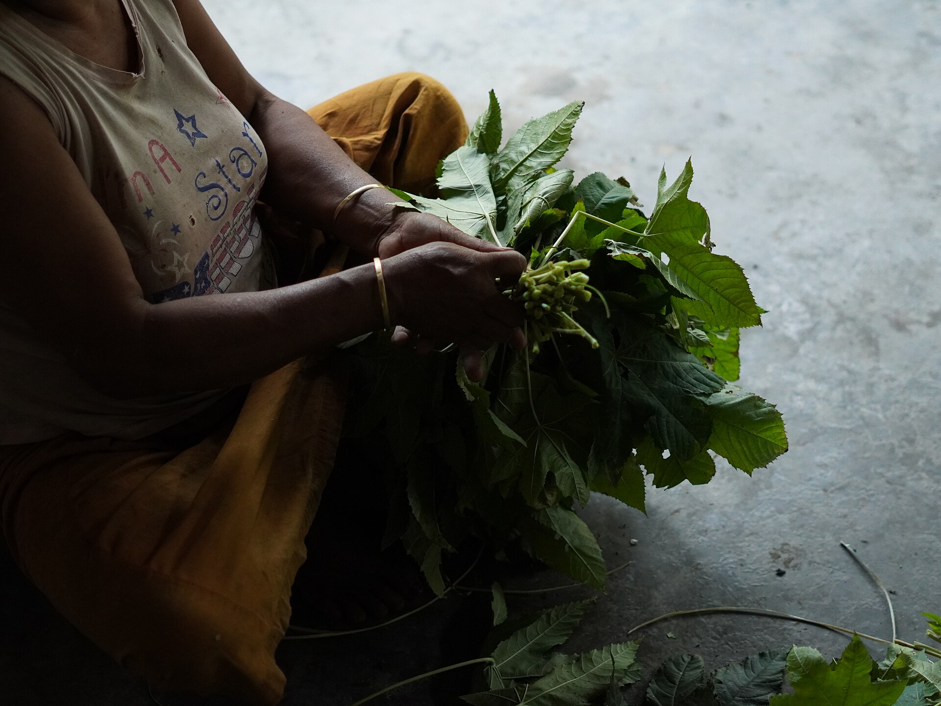 Eri Silk Cultivation